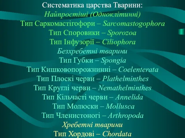 Систематика царства Тварини: Найпростіші (Одноклітинні) Тип Саркомастігофори – Sarcomastogophora Тип Споровики