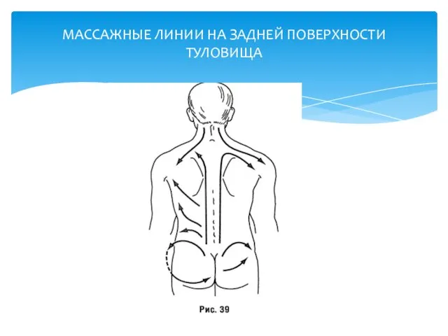 МАССАЖНЫЕ ЛИНИИ НА ЗАДНЕЙ ПОВЕРХНОСТИ ТУЛОВИЩА