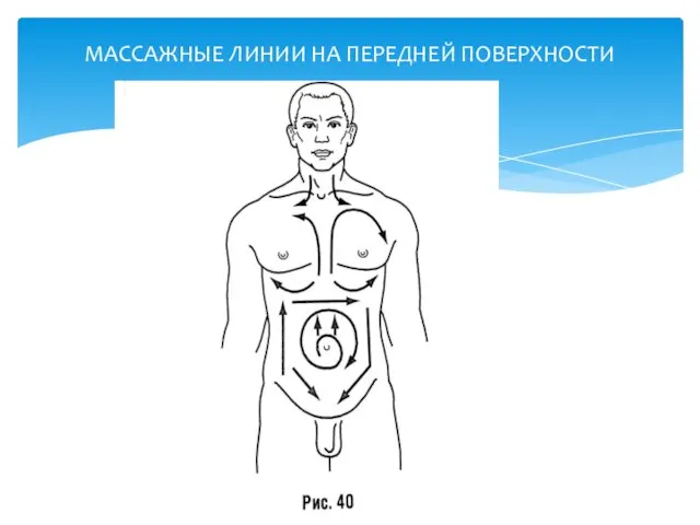 МАССАЖНЫЕ ЛИНИИ НА ПЕРЕДНЕЙ ПОВЕРХНОСТИ