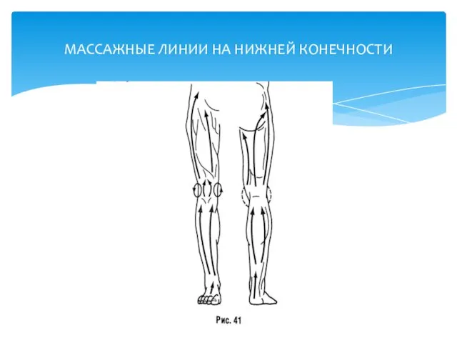 МАССАЖНЫЕ ЛИНИИ НА НИЖНЕЙ КОНЕЧНОСТИ