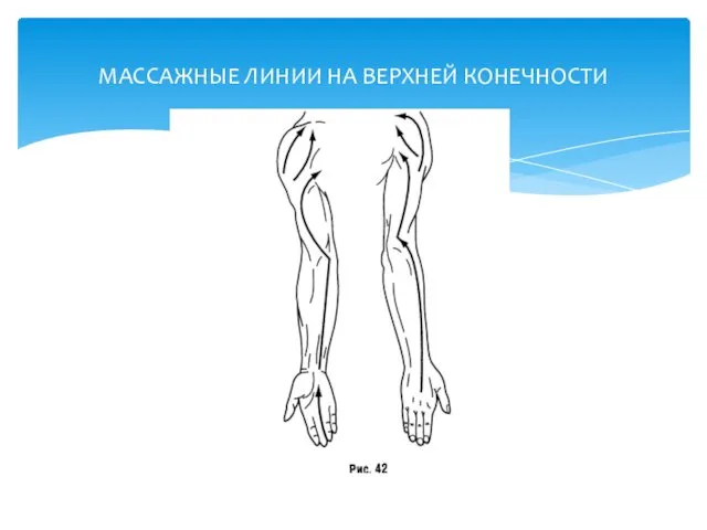 МАССАЖНЫЕ ЛИНИИ НА ВЕРХНЕЙ КОНЕЧНОСТИ