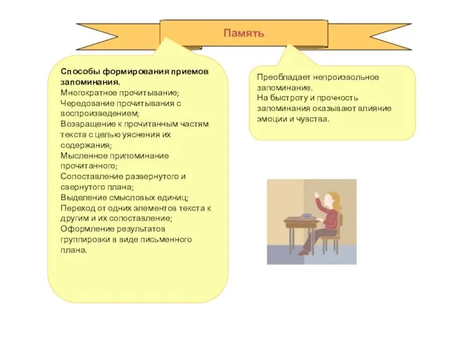 Память Преобладает непроизвольное запоминание. На быстроту и прочность запоминания оказывают влияние