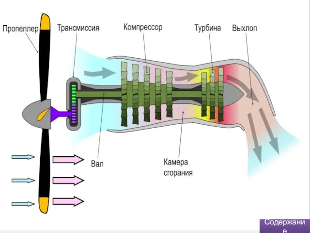 Содержание