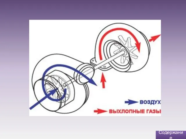 Содержание