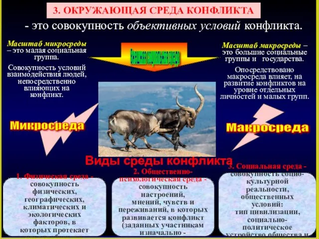 3. ОКРУЖАЮЩАЯ СРЕДА КОНФЛИКТА - это совокупность объективных условий конфликта. Микросреда