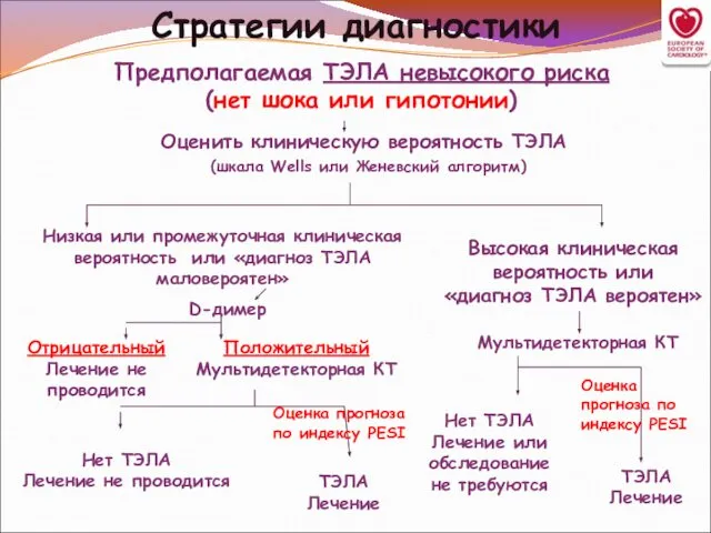 Стратегии диагностики Предполагаемая ТЭЛА невысокого риска (нет шока или гипотонии) Оценить