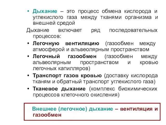 Дыхание – это процесс обмена кислорода и углекислого газа между тканями