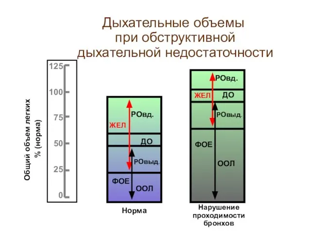 Дыхательные объемы при обструктивной дыхательной недостаточности Общий объем легких % (норма) Нарушение проходимости бронхов Норма