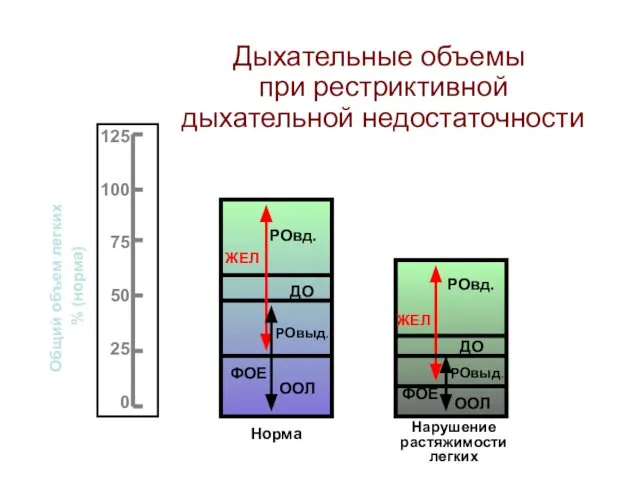 Дыхательные объемы при рестриктивной дыхательной недостаточности Общий объем легких % (норма) Норма Нарушение растяжимости легких