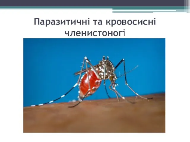 Паразитичні та кровосисні членистоногі