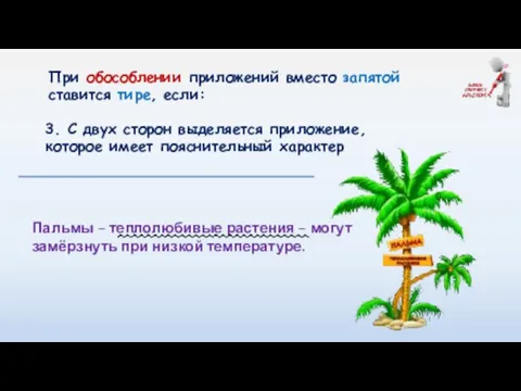 При обособлении приложений вместо запятой ставится тире, если: Пальмы – теплолюбивые