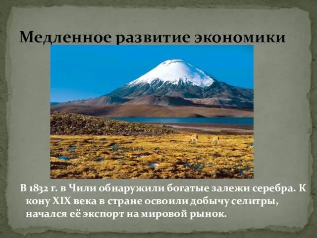 Медленное развитие экономики В 1832 г. в Чили обнаружили богатые залежи