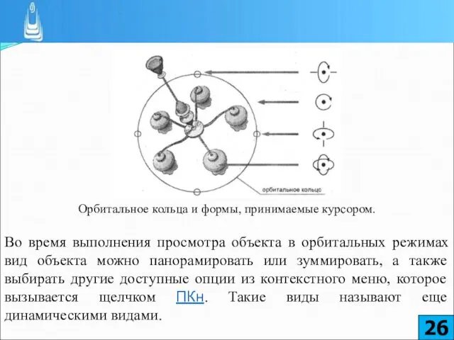 Орбитальное кольца и формы, принимаемые курсором. Во время выполнения просмотра объекта