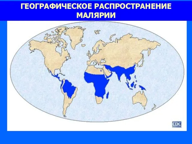 ГЕОГРАФИЧЕСКОЕ РАСПРОСТРАНЕНИЕ МАЛЯРИИ