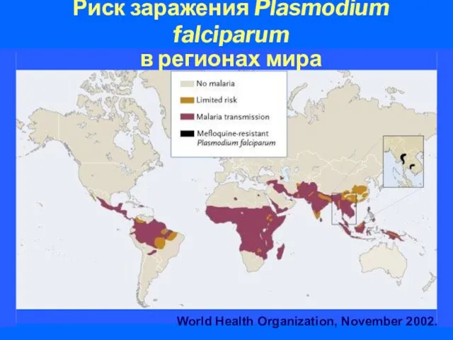 Риск заражения Plasmodium falciparum в регионах мира World Health Organization, November 2002.