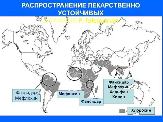 РАСПРОСТРАНЕНИЕ ЛЕКАРСТВЕННО УСТОЙЧИВЫХ ШТАММОВ P. falciparum Фансидар Мефлохин Мефлохин Фансидар Фансидар Мефлохин Хальфан Хинин Хлорохин