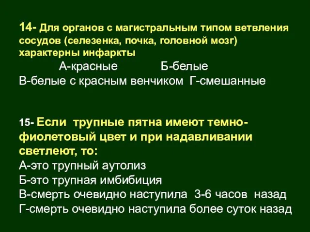 14- Для органов с магистральным типом ветвления сосудов (селезенка, почка, головной