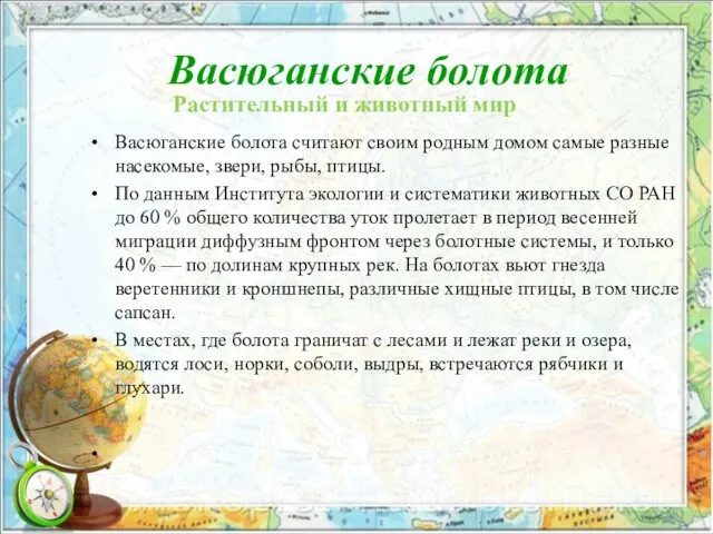 Васюганские болота Васюганские болота считают своим родным домом самые разные насекомые,