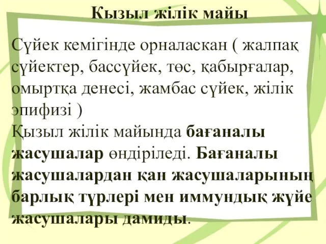 Кызыл жілік майы Сүйек кемігінде орналаскан ( жалпақ сүйектер, бассүйек, төс,