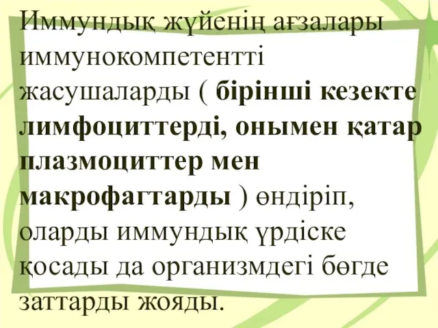 Иммундық жүйенің ағзалары иммунокомпетентті жасушаларды ( бірінші кезекте лимфоциттерді, онымен қатар