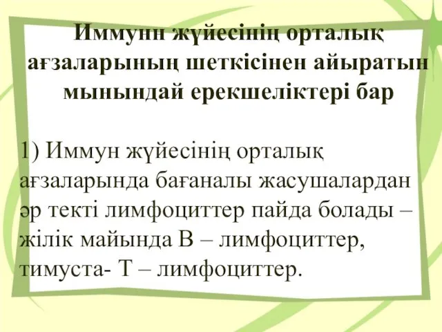 Иммунн жүйесінің орталық ағзаларының шеткісінен айыратын мынындай ерекшеліктері бар 1) Иммун