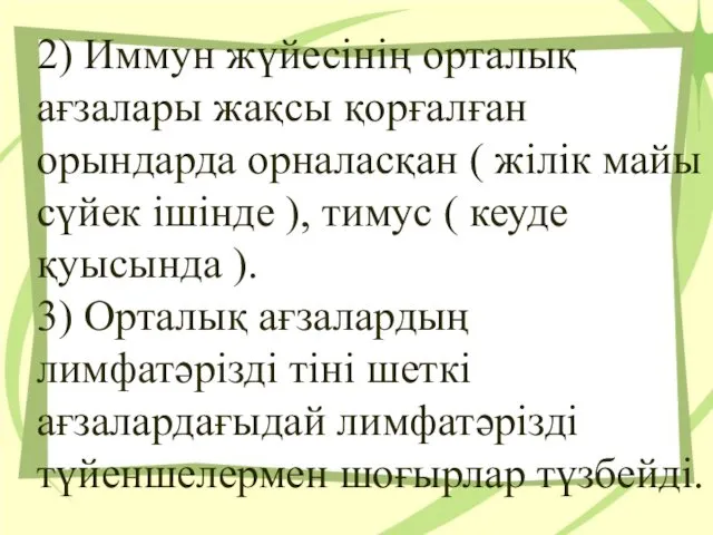 2) Иммун жүйесінің орталық ағзалары жақсы қорғалған орындарда орналасқан ( жілік