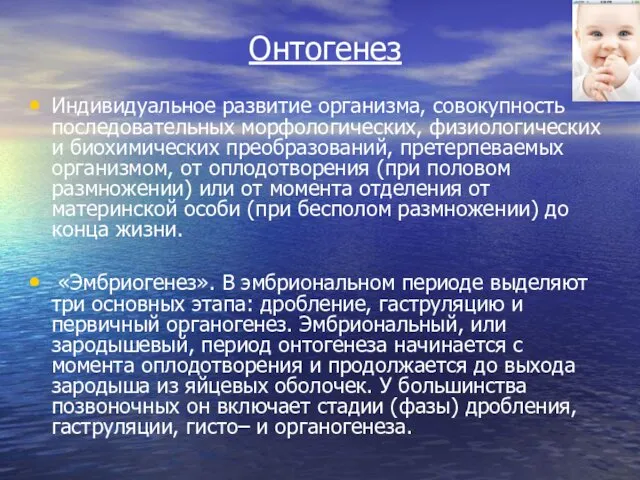 Онтогенез Индивидуальное развитие организма, совокупность последовательных морфологических, физиологических и биохимических преобразований,