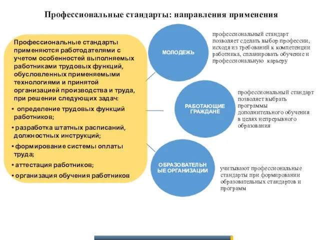 Профессиональные стандарты: направления применения МОЛОДЕЖЬ профессиональный стандарт позволяет сделать выбор профессии,