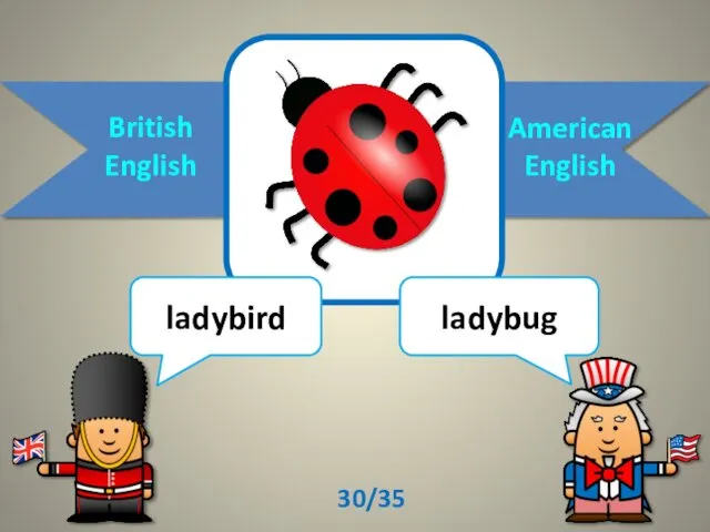 British English American English ladybird ladybug 30/35