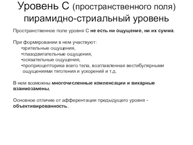 Уровень С (пространственного поля) пирамидно-стриальный уровень Пространственное поле уровня С не