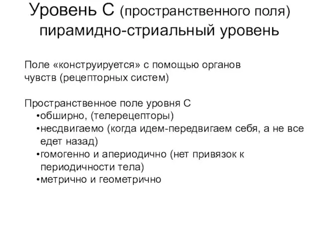 Уровень С (пространственного поля) пирамидно-стриальный уровень Поле «конструируется» с помощью органов