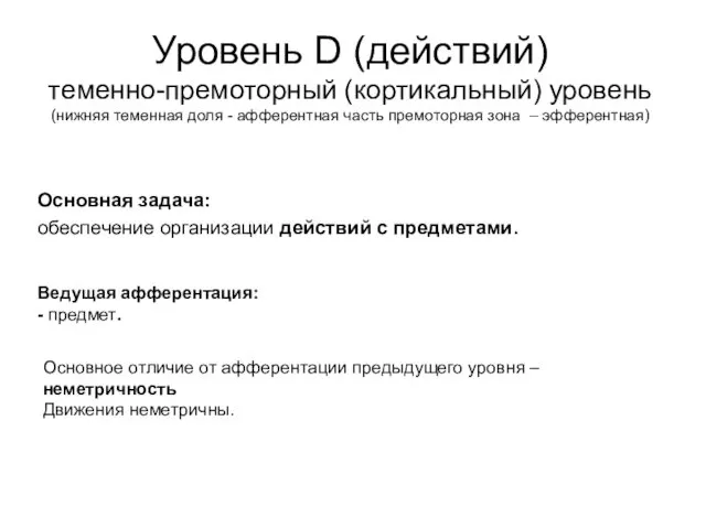 Уровень D (действий) теменно-премоторный (кортикальный) уровень (нижняя теменная доля - афферентная