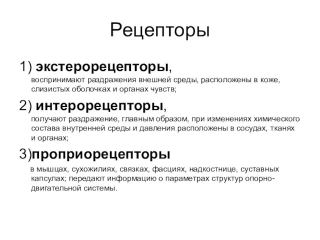 Рецепторы 1) экстерорецепторы, воспринимают раздражения внешней среды, расположены в коже, слизистых