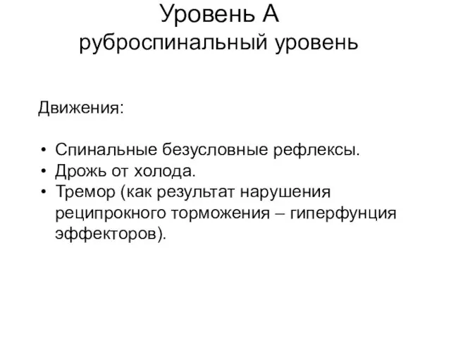 Уровень А руброспинальный уровень Движения: Спинальные безусловные рефлексы. Дрожь от холода.