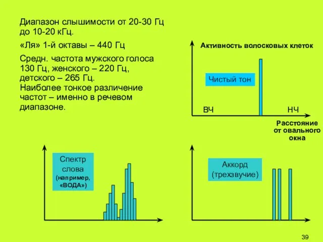 Диапазон слышимости от 20-30 Гц до 10-20 кГц. «Ля» 1-й октавы