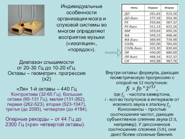 Индивидуальные особенности организации мозга и слуховой системы во многом определяют восприятие