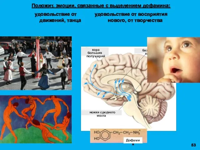 Положит. эмоции, связанные с выделением дофамина: удовольствие от удовольствие от восприятия