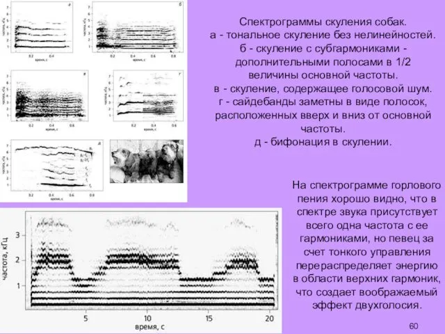 На спектрограмме горлового пения хорошо видно, что в спектре звука присутствует