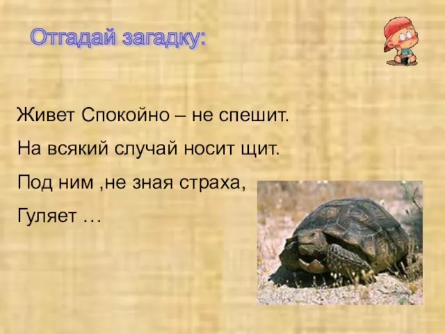 Отгадай загадку: Живет Спокойно – не спешит. На всякий случай носит