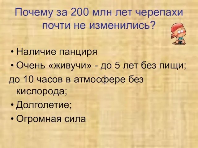 Почему за 200 млн лет черепахи почти не изменились? Наличие панциря