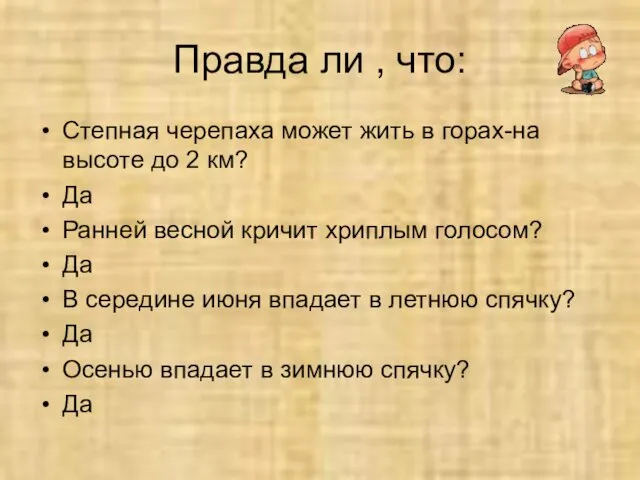 Правда ли , что: Степная черепаха может жить в горах-на высоте