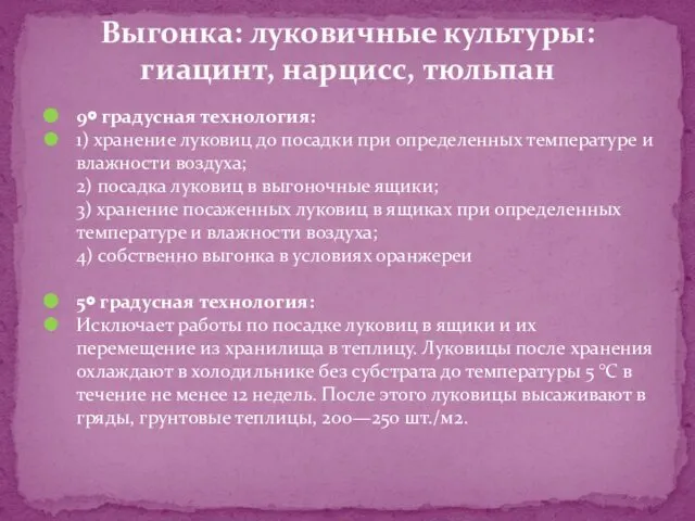 9० градусная технология: 1) хранение луковиц до посадки при определенных температуре