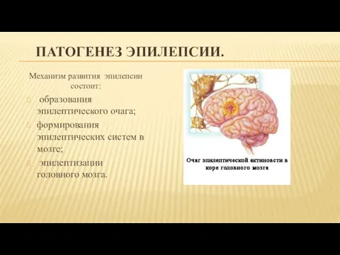 ПАТОГЕНЕЗ ЭПИЛЕПСИИ. Механизм развития эпилепсии состоит: образования эпилептического очага; формирования эпилептических