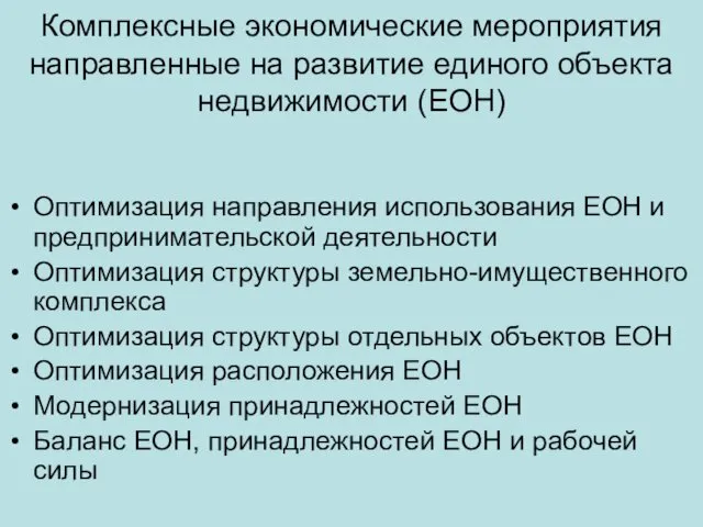 Комплексные экономические мероприятия направленные на развитие единого объекта недвижимости (ЕОН) Оптимизация