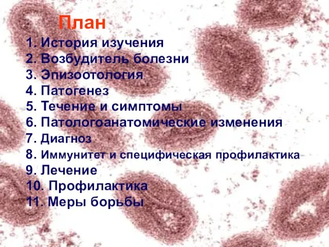 1. История изучения 2. Возбудитель болезни 3. Эпизоотология 4. Патогенез 5.