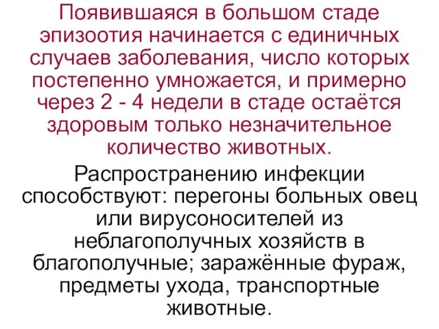 Появившаяся в большом стаде эпизоотия начинается с единичных случаев заболевания, число