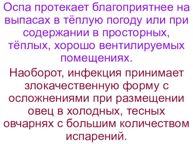 Оспа протекает благоприятнее на выпасах в тёплую погоду или при содержании