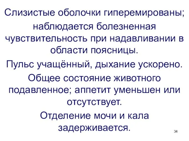 Слизистые оболочки гиперемированы; наблюдается болезненная чувствительность при надавливании в области поясницы.