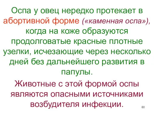 Оспа у овец нередко протекает в абортивной форме («каменная оспа»), когда