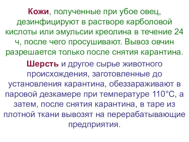 Кожи, полученные при убое овец, дезинфицируют в растворе карболовой кислоты или